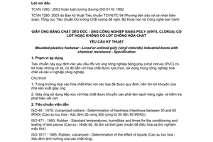 Tiêu chuẩn Việt Nam TCVN 7280:2003 (ISO 6110 : 1992) về Giày ủng bằng chất dẻo đúc - Ủng công nghiệp bằng poly (vinyl clorua) có lót hoặc không có lót chống hoá chất - Yêu cầu kỹ thuật do Bộ Khoa học và Công nghệ ban hành